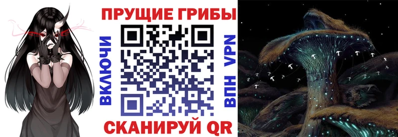 Псилоцибиновые грибы GOLDEN TEACHER  Иннополис 
